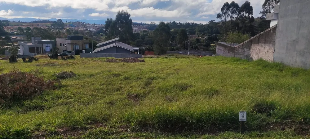Terreno - Foto 4