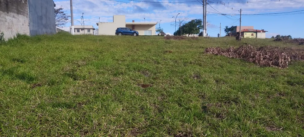 Terreno - Foto 2