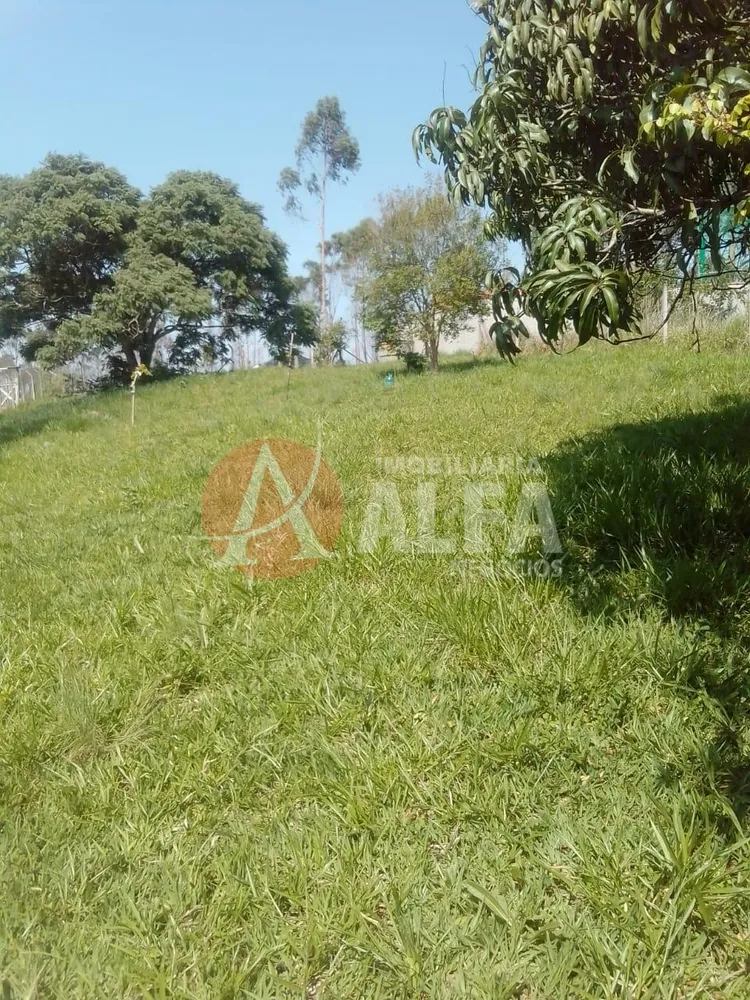 Terreno, 250 m² - Foto 5