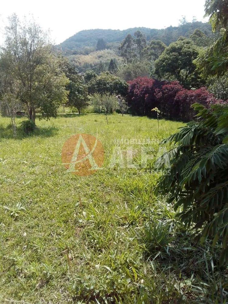 Terreno, 250 m² - Foto 4
