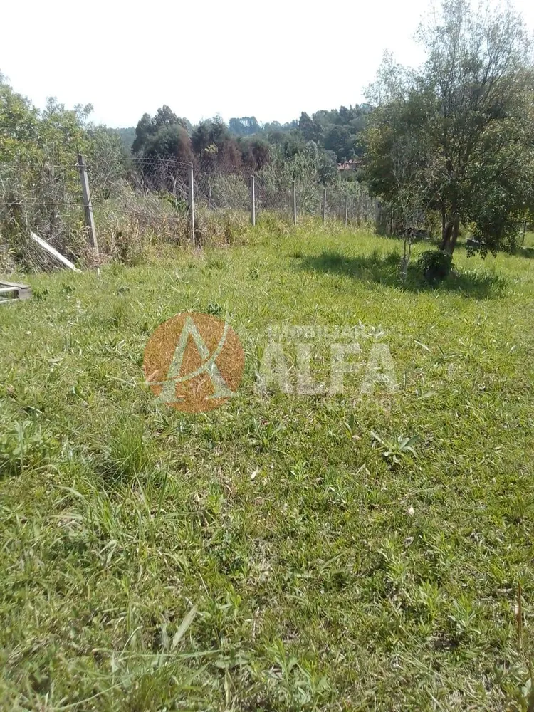 Terreno, 250 m² - Foto 8