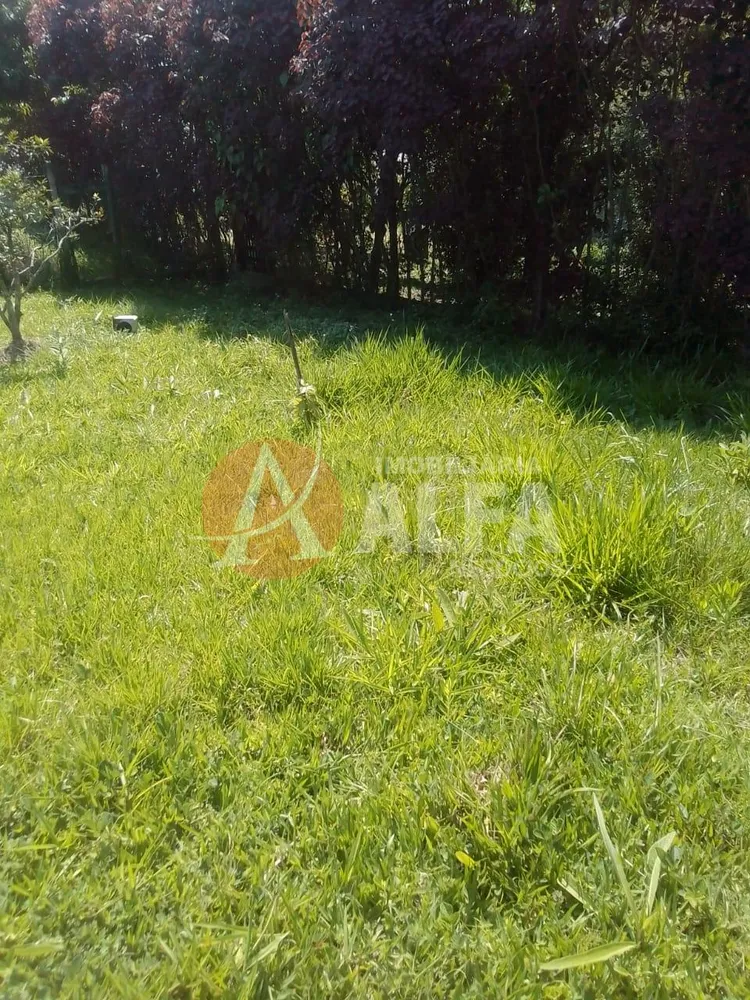 Terreno, 250 m² - Foto 5