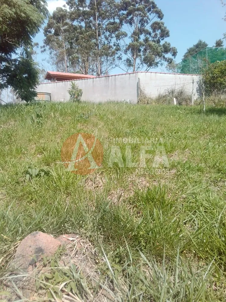 Terreno, 250 m² - Foto 3