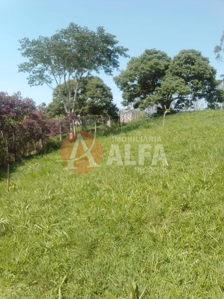 Terreno, 250 m² - Foto 1