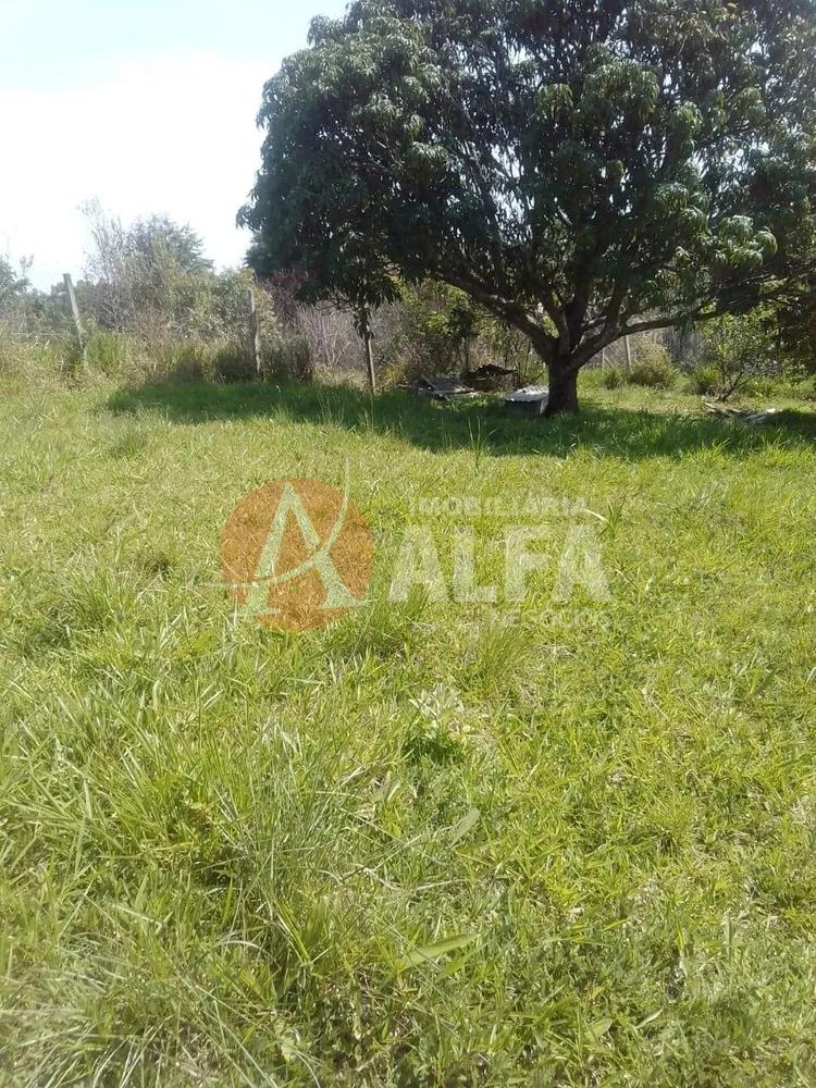 Terreno, 250 m² - Foto 12