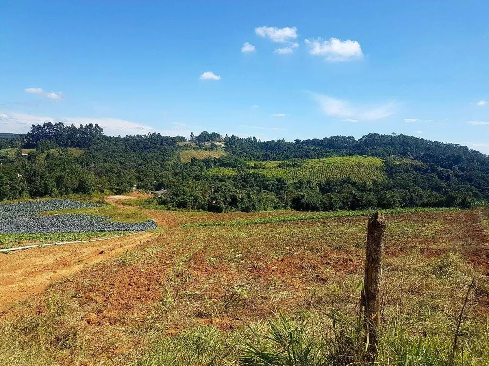 Terreno - Foto 1