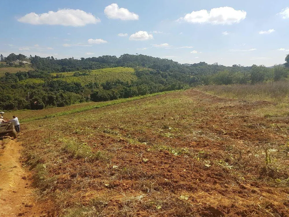 Terreno - Foto 2