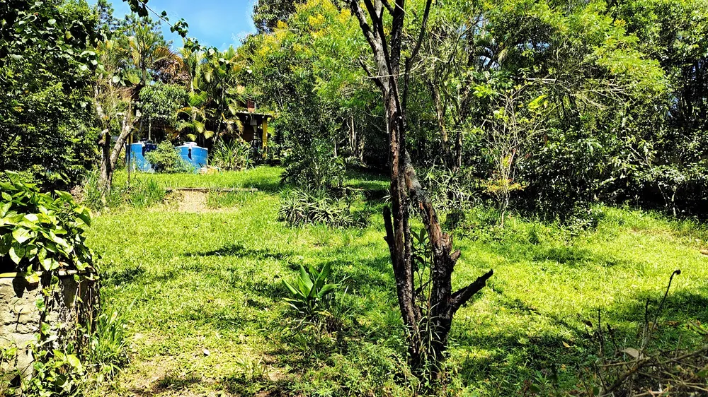 Chácara, 2 quartos, 5322 m² - Foto 5