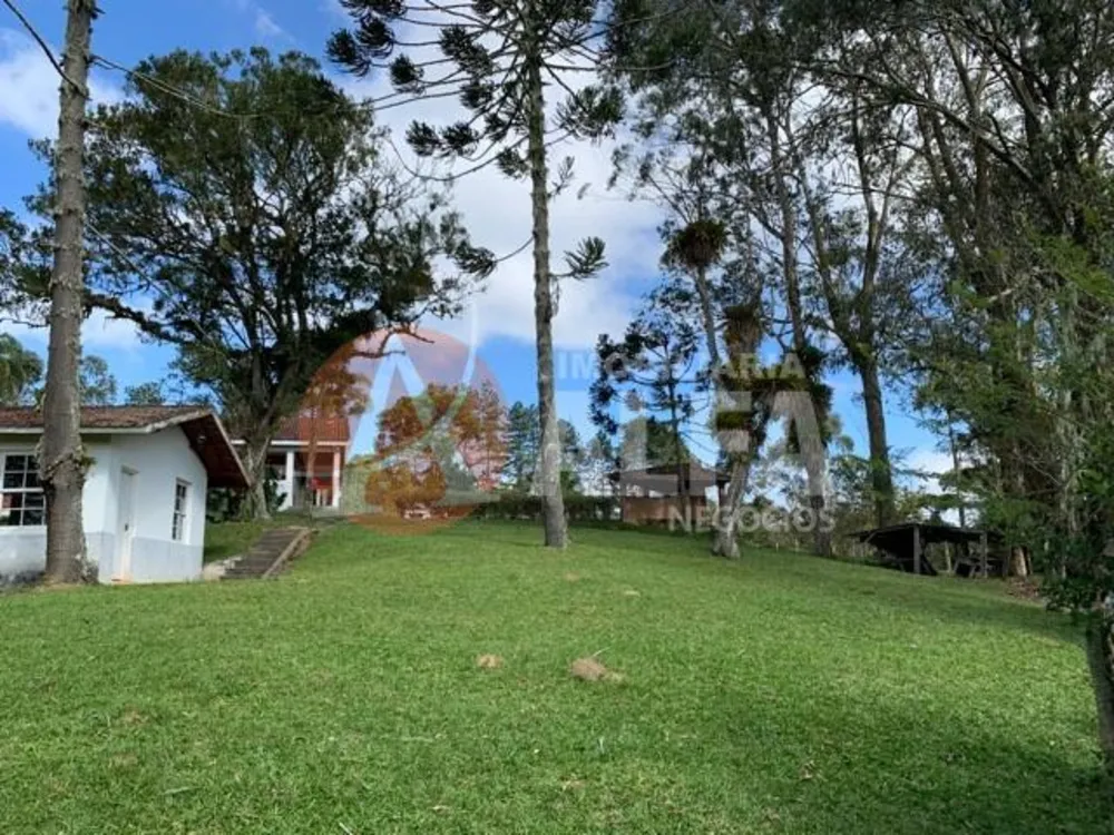 Casa, 4 quartos - Foto 5