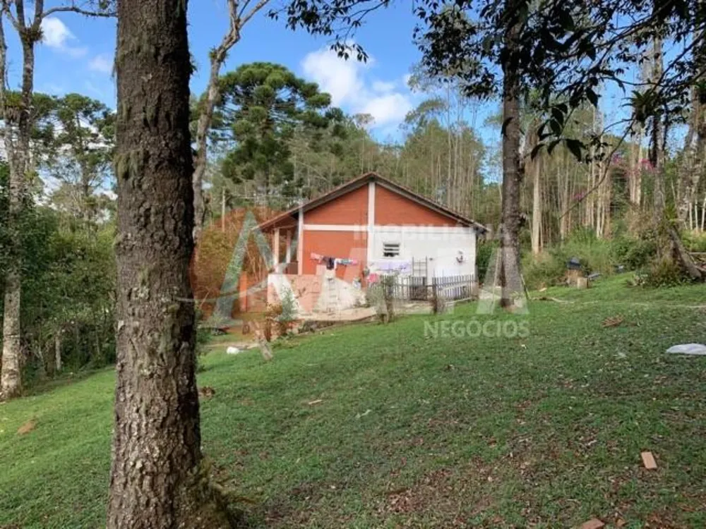 Casa, 4 quartos - Foto 6