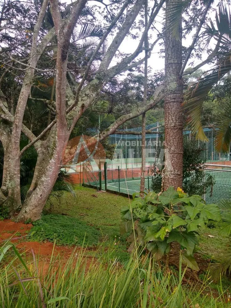 Casa, 3 quartos, 290 m² - Foto 3