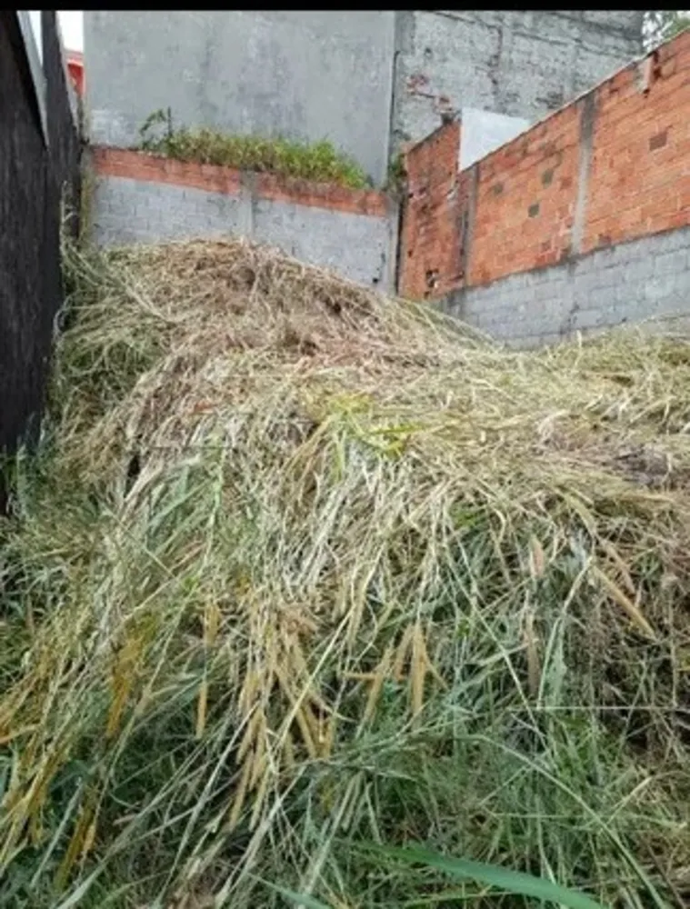 Terreno, 55 m² - Foto 2
