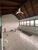 Sala-Conjunto - Foto 5