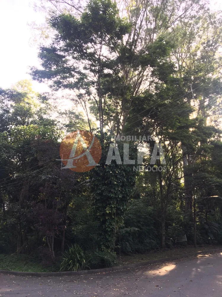 Terreno, 2547 m² - Foto 3