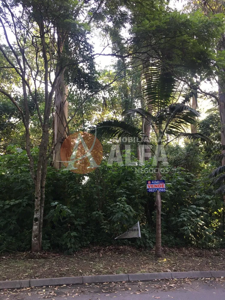 Terreno, 2547 m² - Foto 4