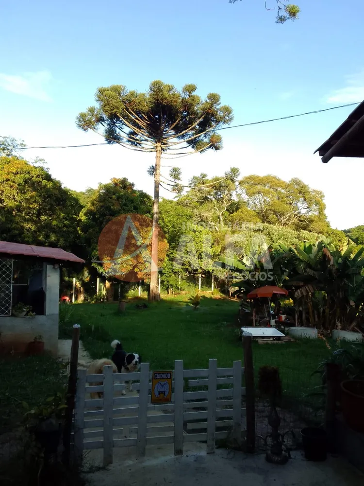 Casa, 2 quartos, 244 m² - Foto 1