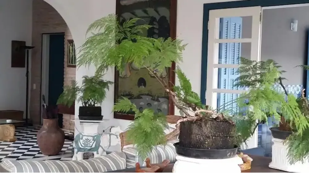 Casa, 5 quartos, 486 m² - Foto 2