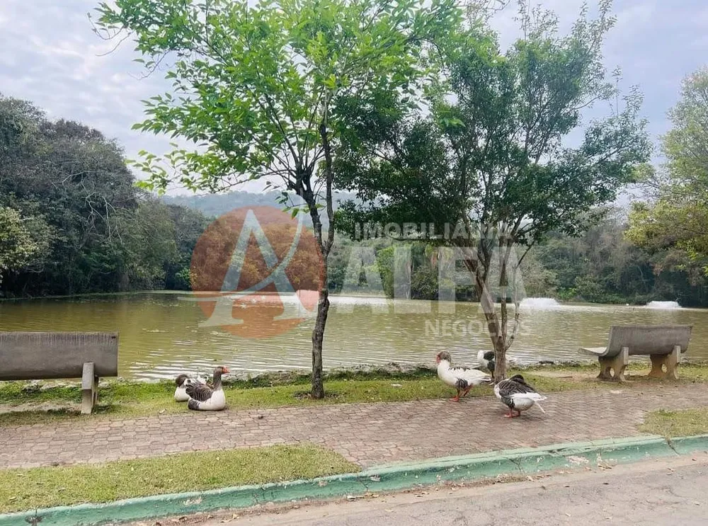 Casa, 3 quartos, 620 m² - Foto 6
