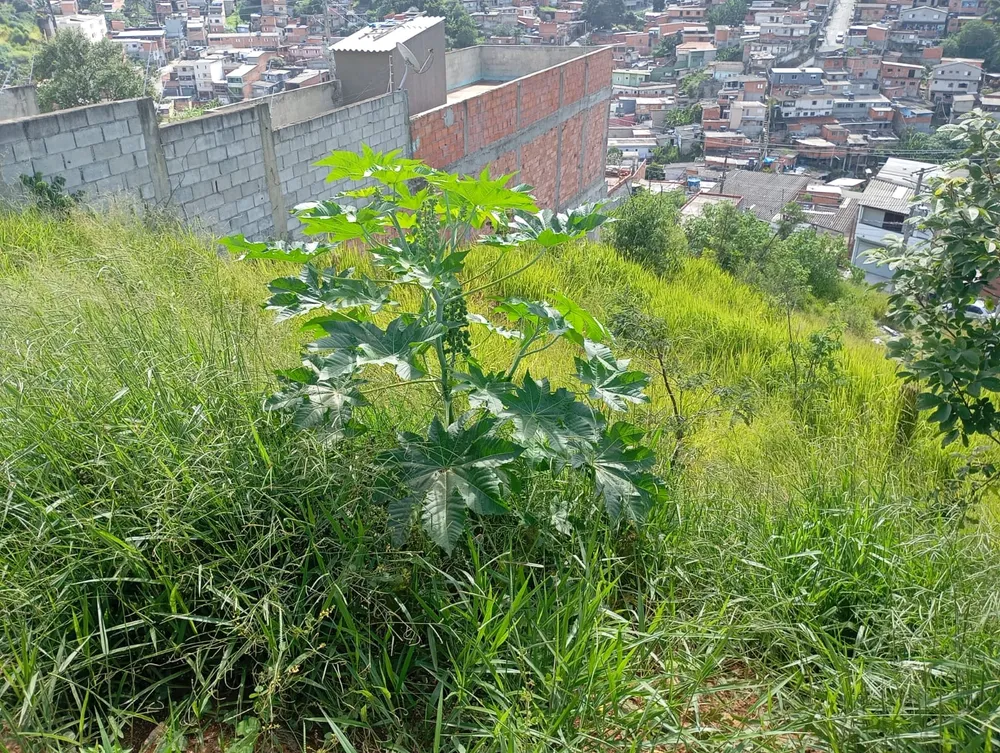 Terreno, 125 m² - Foto 4
