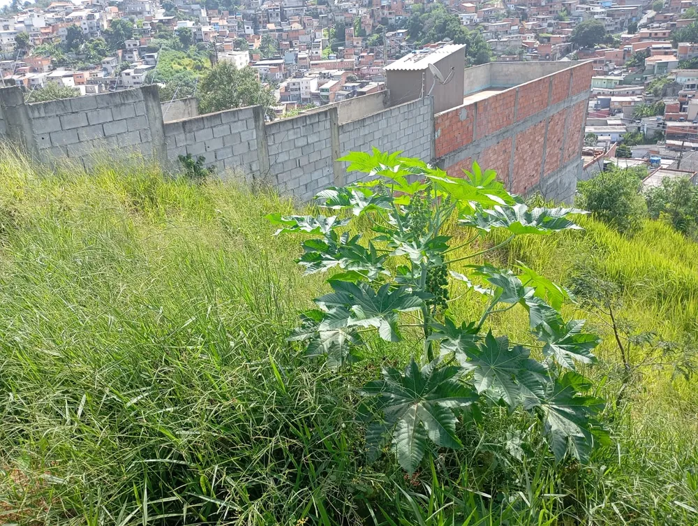 Terreno, 125 m² - Foto 5