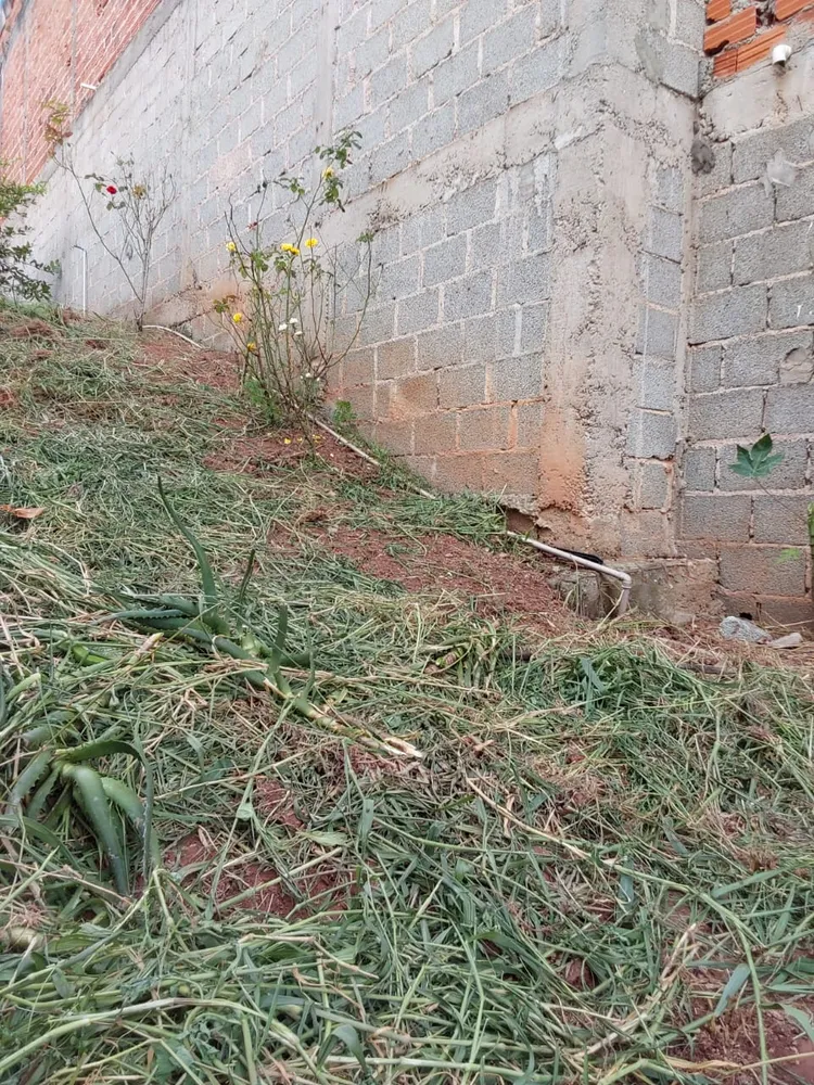 Casa, 2 quartos, 55 m² - Foto 4