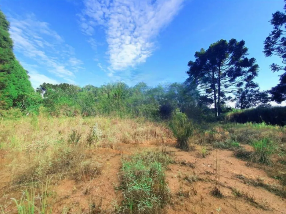 Terreno, 2000 m² - Foto 5