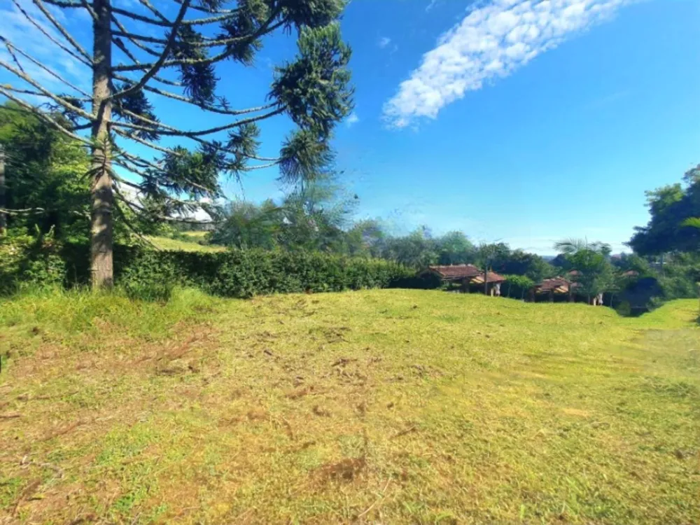 Terreno, 2000 m² - Foto 6