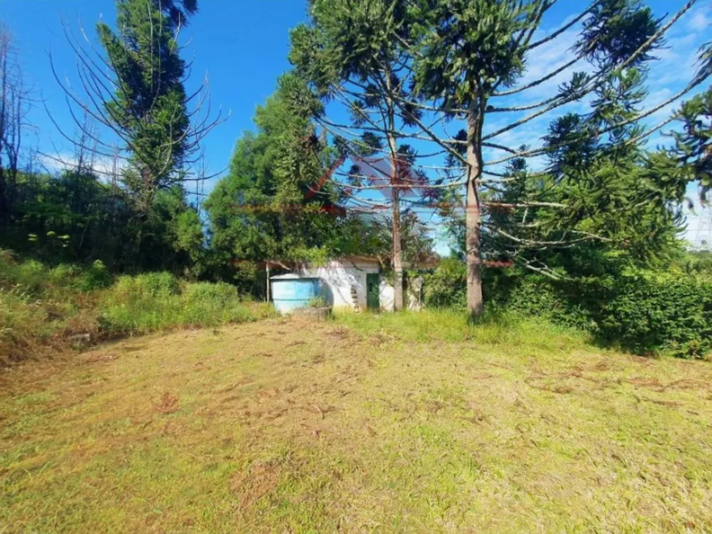 Terreno, 2000 m² - Foto 3