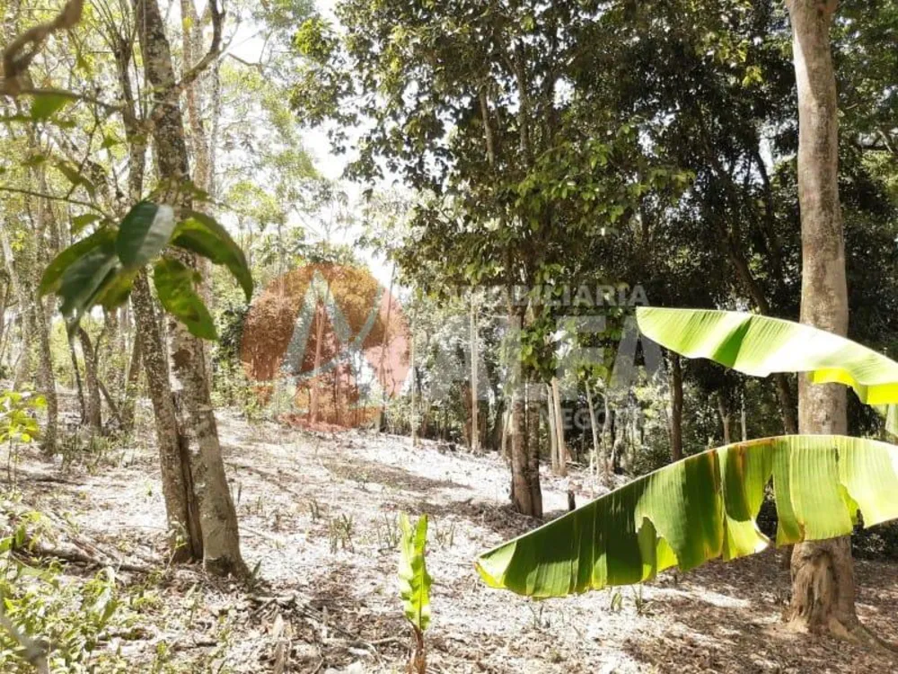 Terreno, 1 hectares - Foto 4