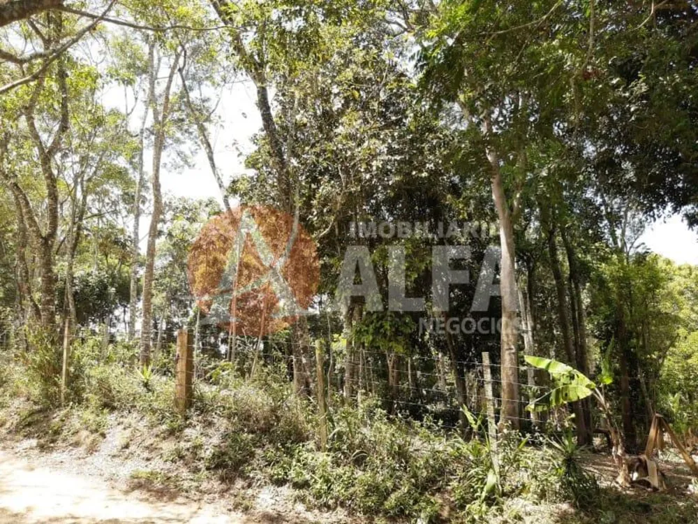 Terreno, 1 hectares - Foto 10