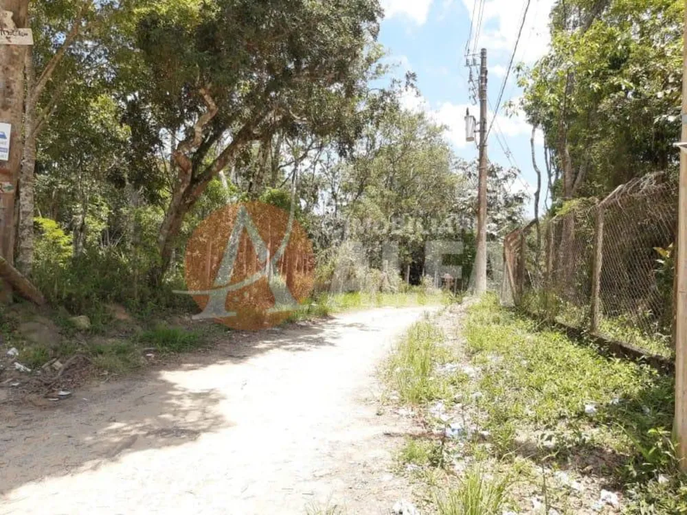 Terreno, 1 hectares - Foto 3