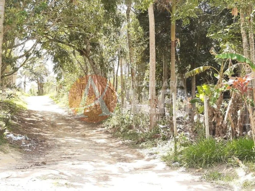 Terreno, 1 hectares - Foto 4