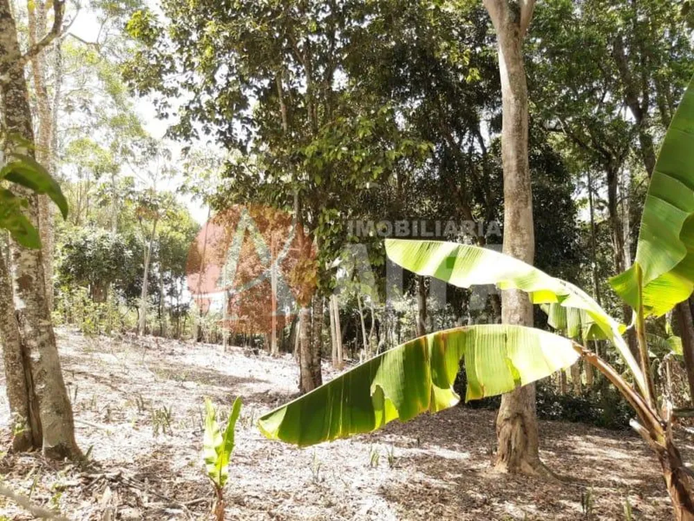 Terreno, 1 hectares - Foto 1