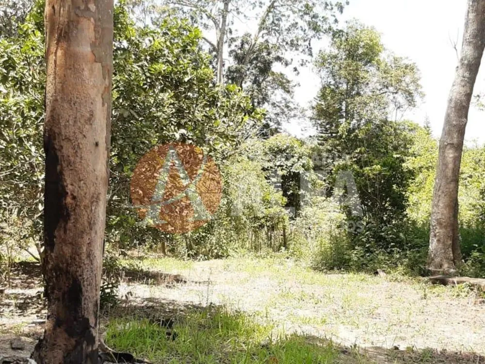 Terreno, 1 hectares - Foto 7