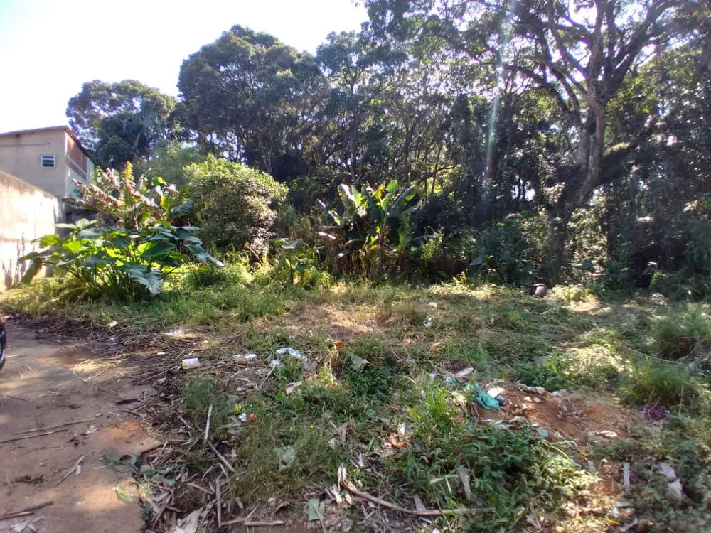 Terreno, 5700 m² - Foto 6