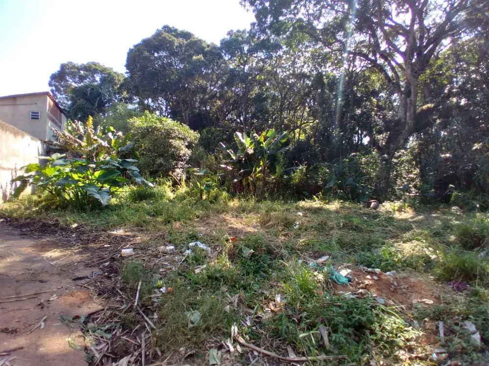 Terreno, 5700 m² - Foto 4
