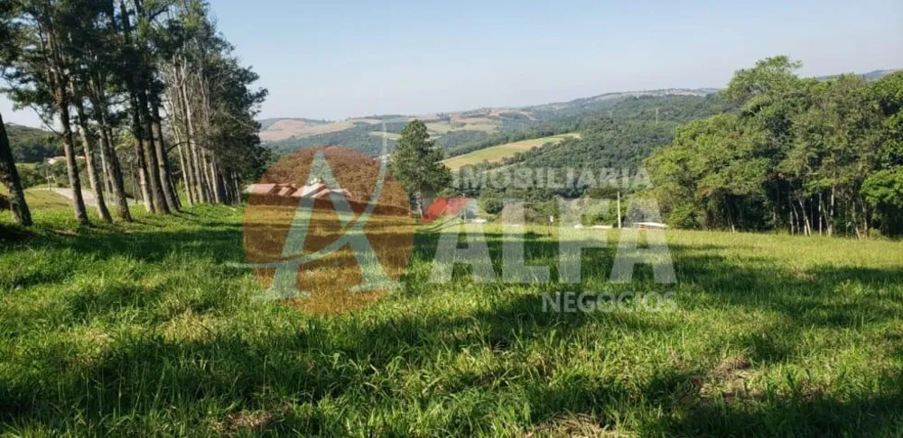 Terreno, 1405 m² - Foto 3