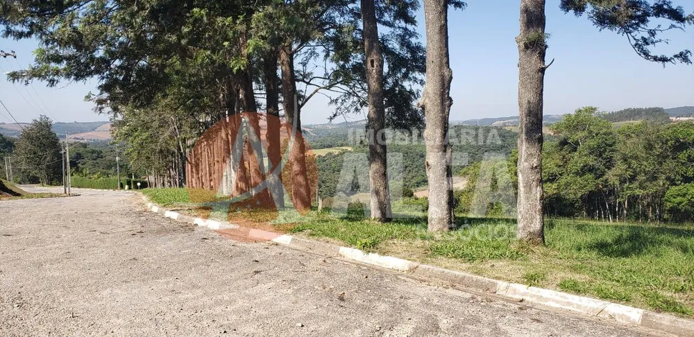 Terreno, 1405 m² - Foto 4