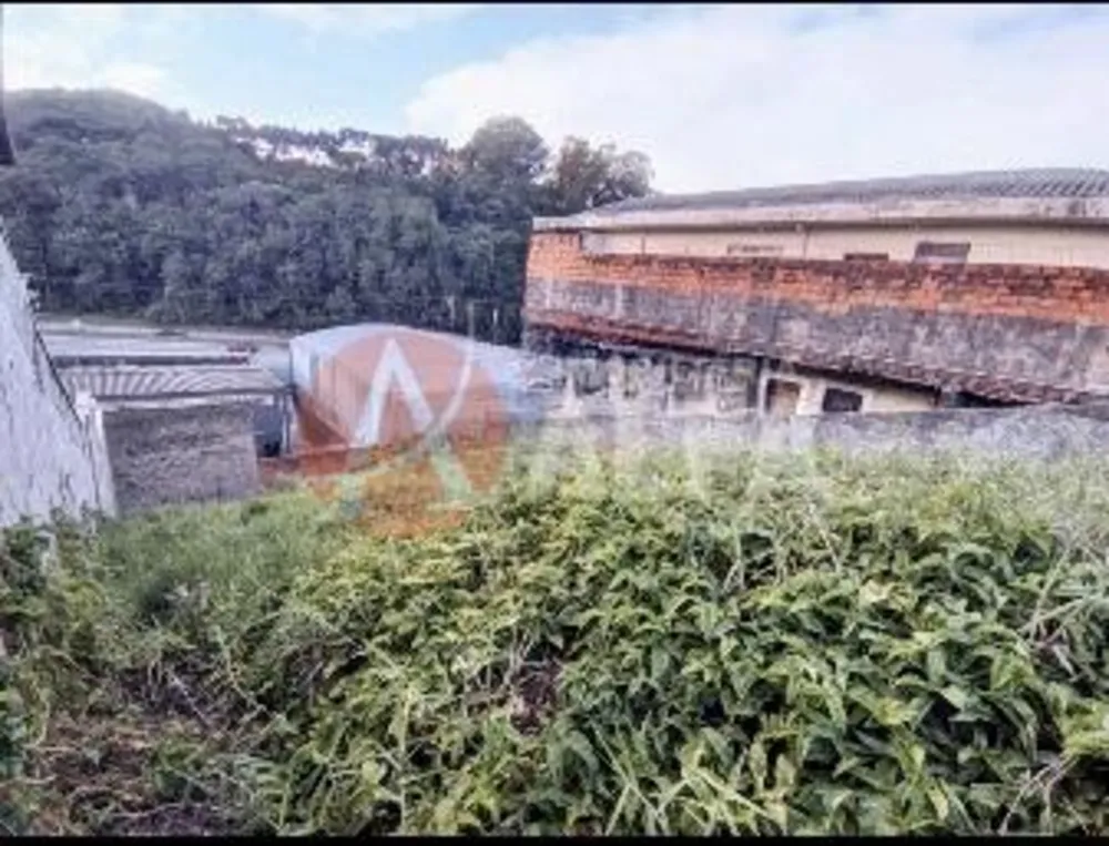 Terreno, 250 m² - Foto 2