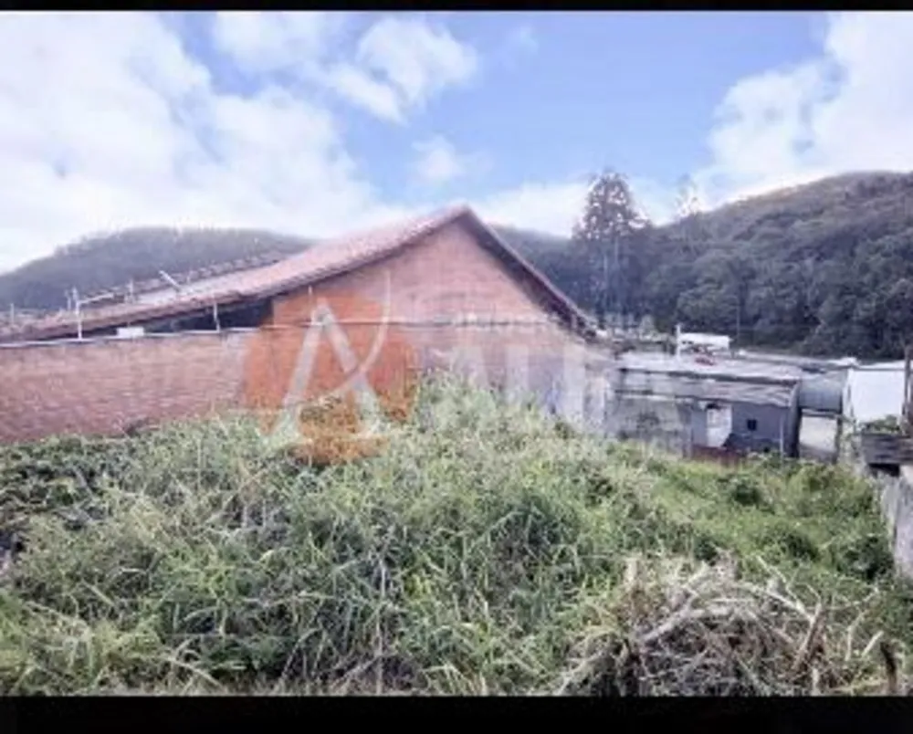 Terreno, 250 m² - Foto 1