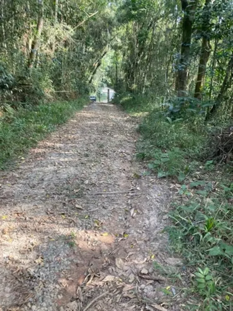 Terreno, 1000 m² - Foto 3