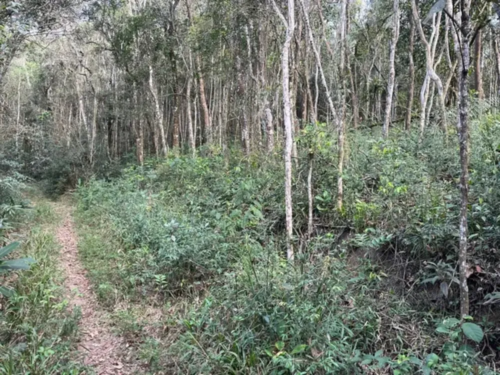 Terreno, 1000 m² - Foto 4