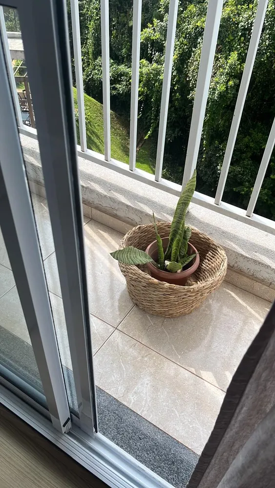 Apartamento, 2 quartos, 59 m² - Foto 5