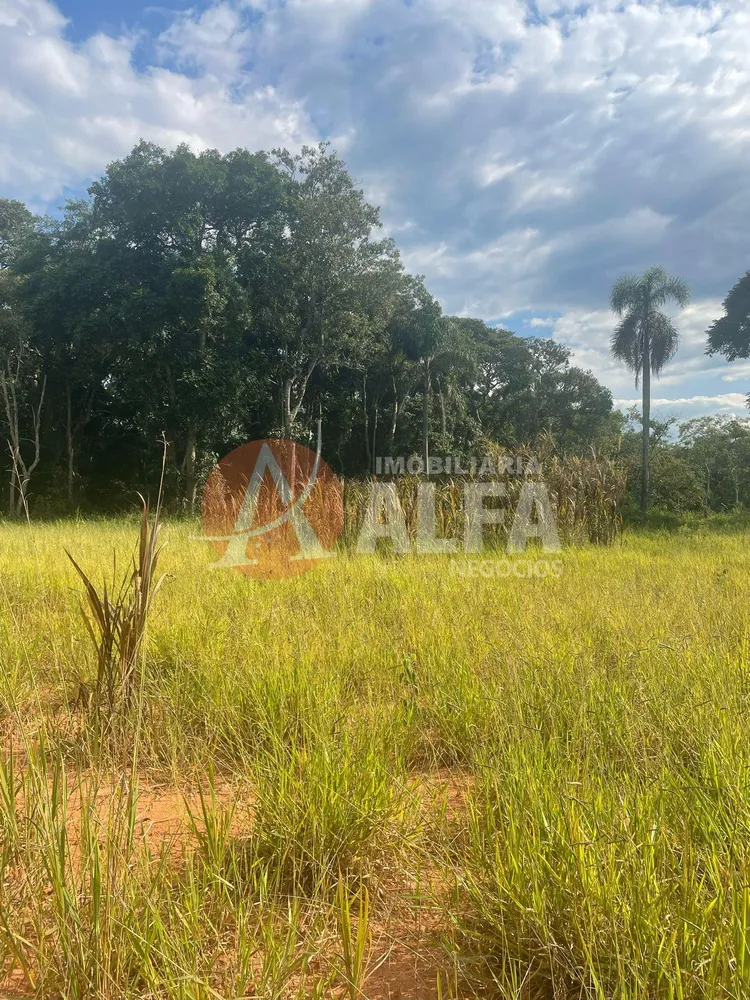 Terreno, 1 hectares - Foto 7