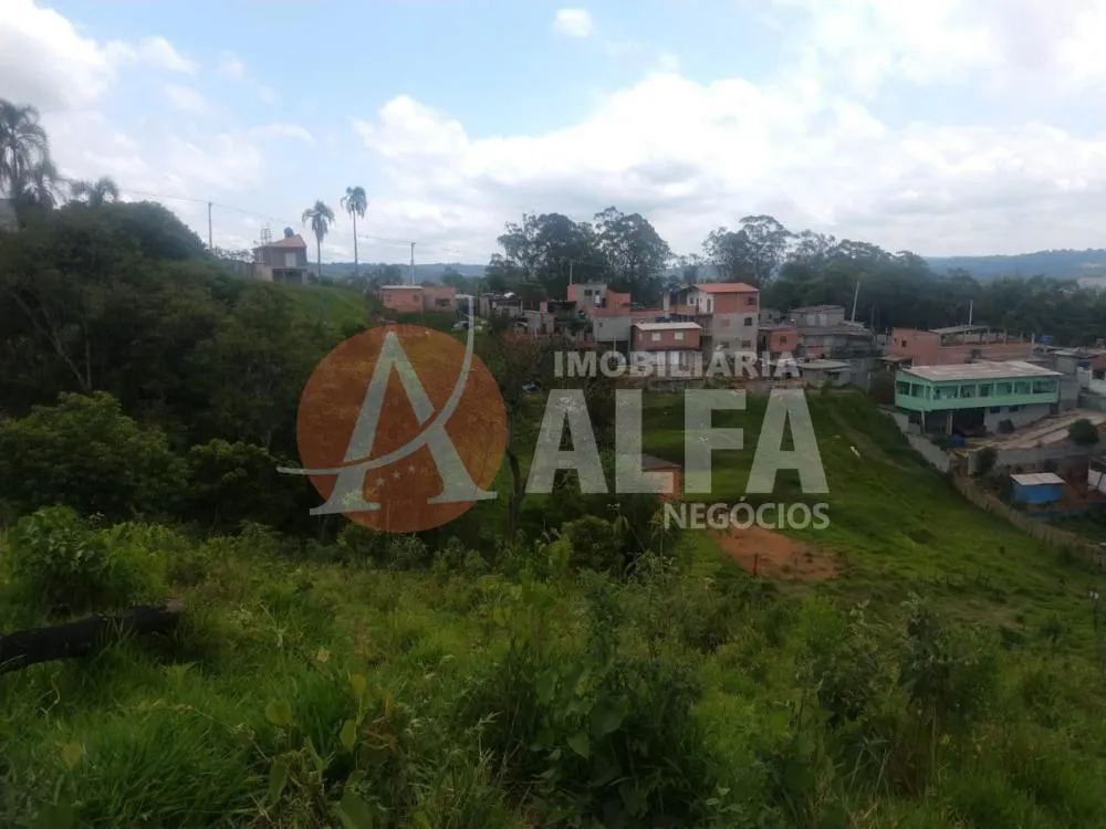 Terreno, 10000 m² - Foto 11
