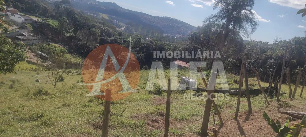 Terreno, 10000 m² - Foto 5