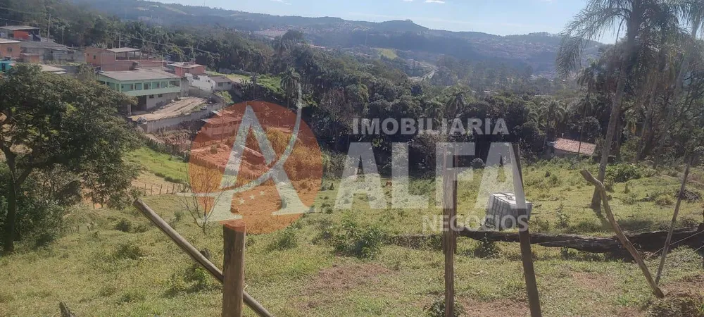 Terreno, 10000 m² - Foto 6