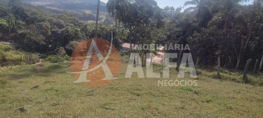 Terreno, 10000 m² - Foto 9