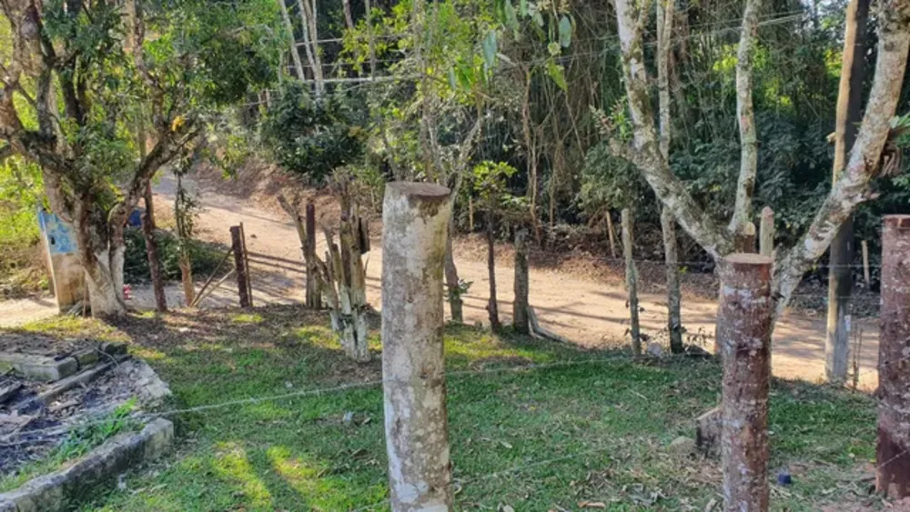 Terreno, 125 m² - Foto 5