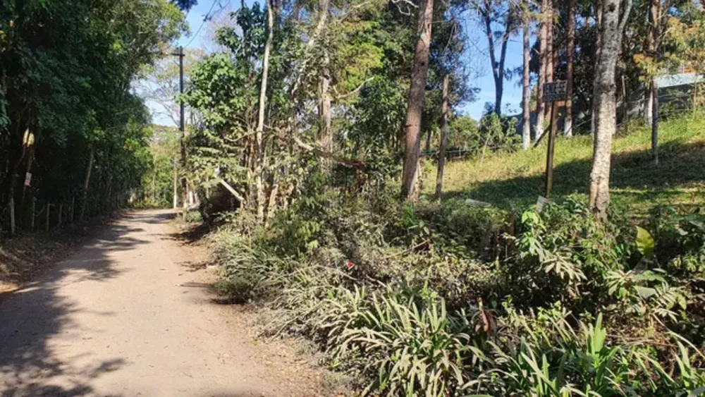 Terreno, 125 m² - Foto 6